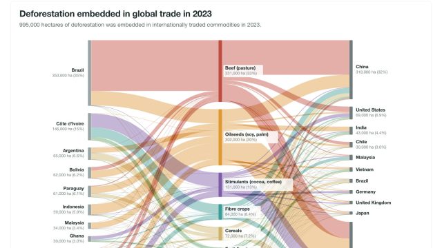 Unveiling Global Deforestation: Importing Environmental Impact | rtp agus, poker idn deposit via dan