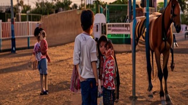New Insights on Gaza's Humanitarian Crisis: A Focus on Children | rupiah138, harga kartu poker di al