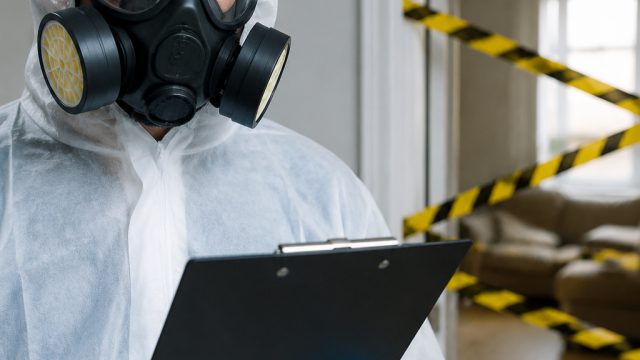 Hantavirus Quarantine Lifted: Key Insights and Lessons Learned | adi bet prediction, raja judi 88 sl