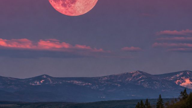 Don't Miss the Stunning Strawberry Moon This June