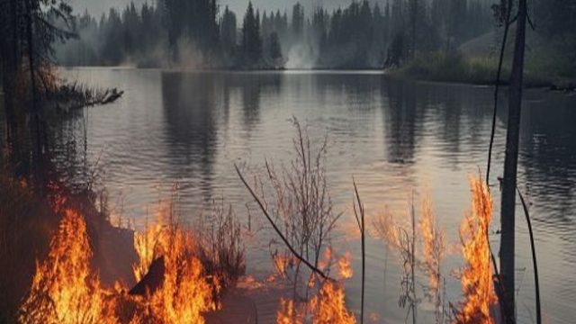 Emerillon Lake South Wildfire: Urgent Measures Needed as Flames Spread